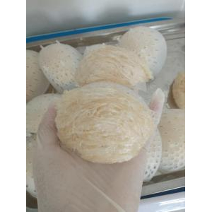 Cty TNHH Yến - Sâm Tâm Phúc