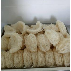 Cty TNHH Yến - Sâm Tâm Phúc