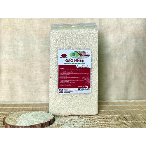 Gạo MN66 Túi 2kg
