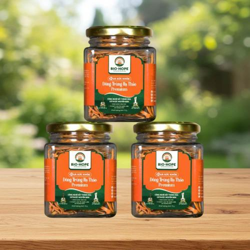 Đông Trùng Hạ Thảo Là Gì? 5 Công Dụng Vàng Cho Sức Khỏe Ít Ai Biết!