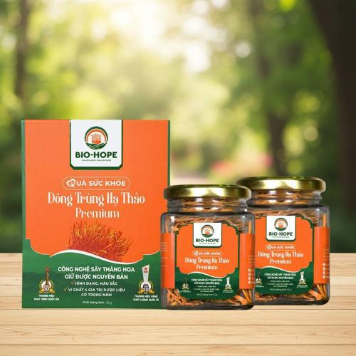 Đông Trùng Hạ Thảo Giá Bao Nhiêu? Mua Ở Đâu Uy Tín?