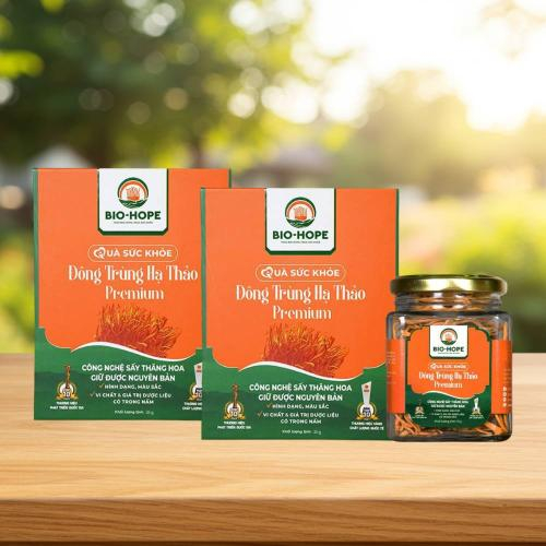 Vì Sao Đông Trùng Hạ Thảo Được Mệnh Danh Là 