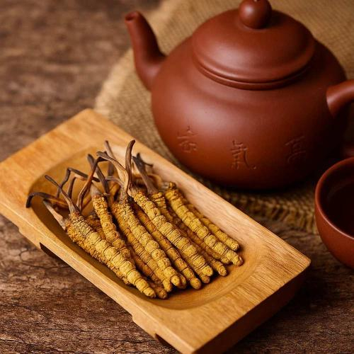 Những Hiểu Lầm Phổ Biến Về Đông Trùng Hạ Thảo