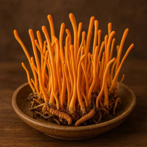 Chăm Sóc Ba Mẹ Mỗi Ngày Bằng Sự Quan Tâm Từ Thiên Nhiên