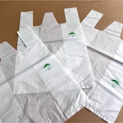 Giải Pháp Xanh Cho Doanh Nghiệp: Túi Nilon Tự Phân Hủy Sinh Học Phương Lan – Đặt Hàng Ngay!