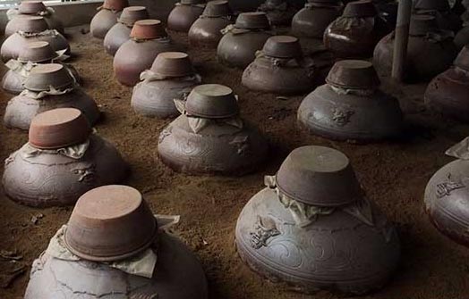 Rượu hạ thổ là gì?