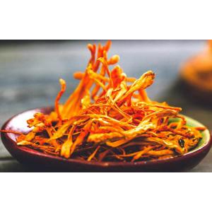 Tại sao phải sấy khô đông trùng hạ thảo?