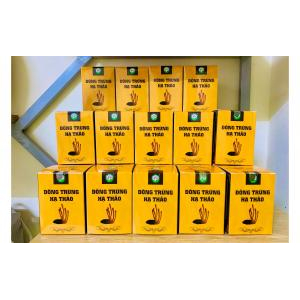 Mua trà đông trùng hạ thảo khô ở đâu thì chất lượng?