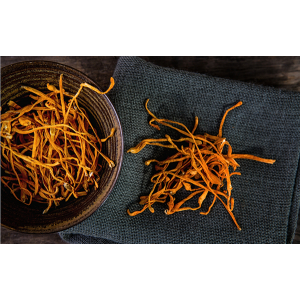 Tại sao phải sấy khô đông trùng hạ thảo?