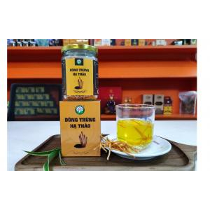 Mua trà đông trùng hạ thảo khô ở đâu thì chất lượng?