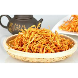 Tại sao phải sấy khô đông trùng hạ thảo?