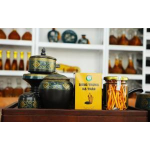 Mua trà đông trùng hạ thảo khô ở đâu thì chất lượng?