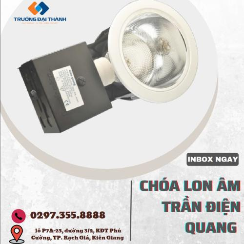 Chóa lon âm trần Điện Quang ĐQ HRD02G 1402E27 (ngang 5"5 (140mm) có kiếng 2xE27 )