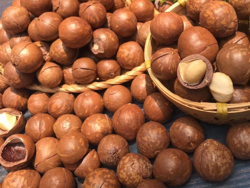 Các trường hợp sử dụng