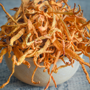 Những Sai Lầm Phổ Biến Khi Sử Dụng Đông Trùng Hạ Thảo