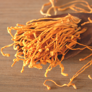 Đông Trùng Hạ Thảo Cho Người Lớn Tuổi, Người Bệnh Và Người Tập Thể Thao: Lợi Ích Và Lưu Ý