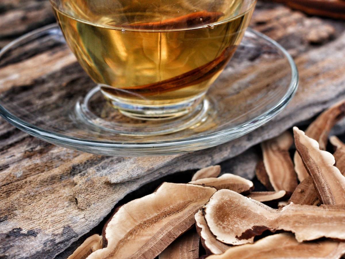 Công dụng, lợi ích