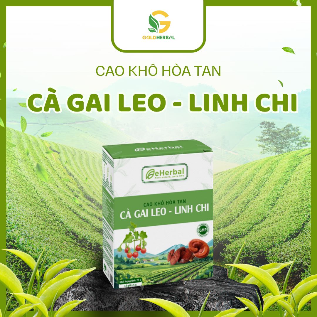 Cao Khô Hòa Tan Cà Gai Leo Linh Chi