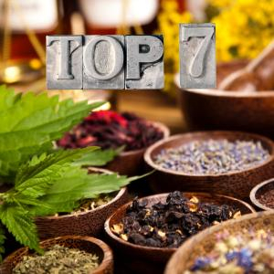 Top 7 Loại Dược Liệu Có Trong Dầu Xoa Bóp