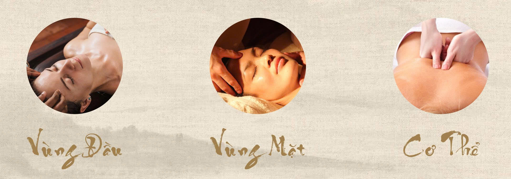 Liệu trình chăm sóc