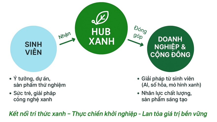 hoat-dong-trong-tam-hub-xanh-dai-hoc-1