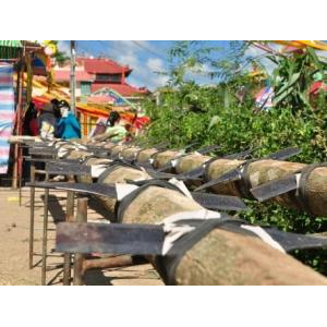 Độc đáo lễ Tả Tài Phán ở Đồng Nai