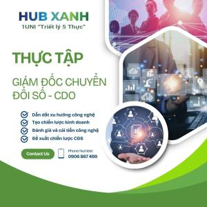 Thực Tập Giám Đốc CHuyển Đổi Số - CDO