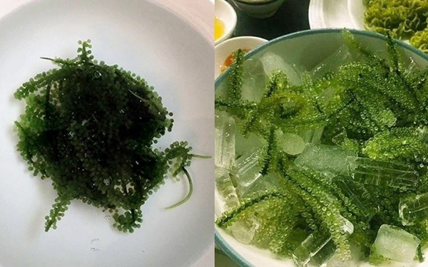 Hướng dẫn chế biến rong nho