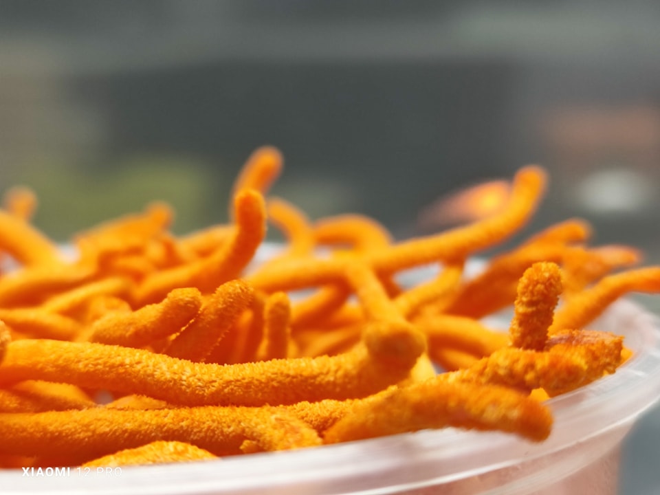 Nấm đông trùng hạ thảo Cordyceps militaris