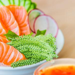 Rong nho Trường Thọ