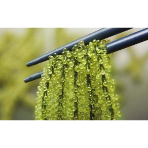 Hướng dẫn chế biến rong nho