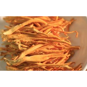 Phân biệt đông trùng hạ thảo tươi và đông trùng hạ thảo khô