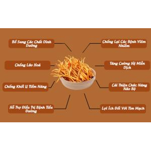 Tác dụng của đông trùng hạ thảo