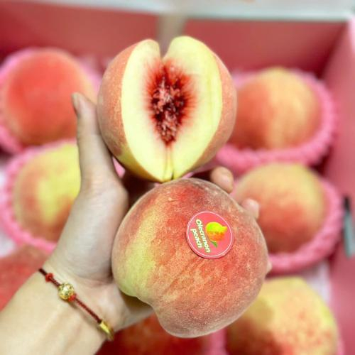 Đào Tuyết Lệ Giang