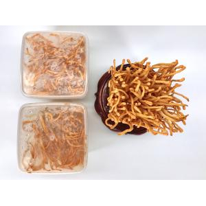 Nấm Đông Trùng Hạ Thảo Tươi