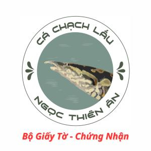 Bộ Giấy Tờ - Chứng Nhận của Cá Chạch Lấu Ngọc Thiên Ân