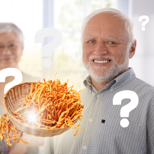 Người Già Trên 70 Tuổi Có Sử Dụng Đông Trùng Hạ Thảo Được Hay Không?