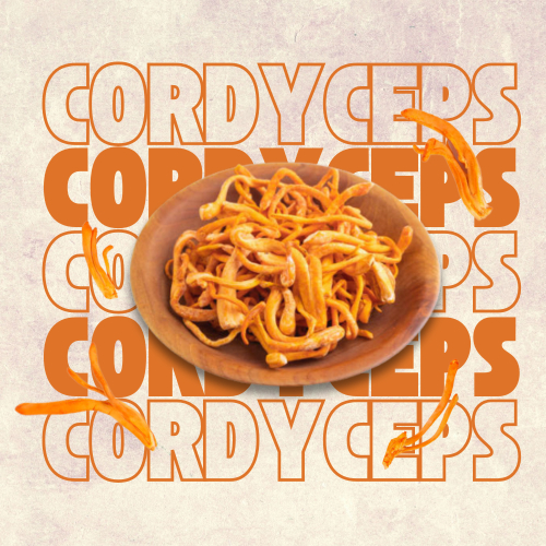 Trẻ Em Có Sử Dụng Được Đông Trùng Hạ Thảo Không?