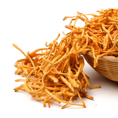 Cảnh Giác Với Đông Trùng Hạ Thảo Giá Rẻ, Không Rõ Nguồn Gốc