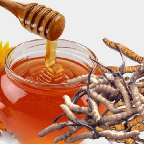 Tìm Hiểu Công Dụng Của Đông Trùng Hạ Thảo Ngâm Mật Ong