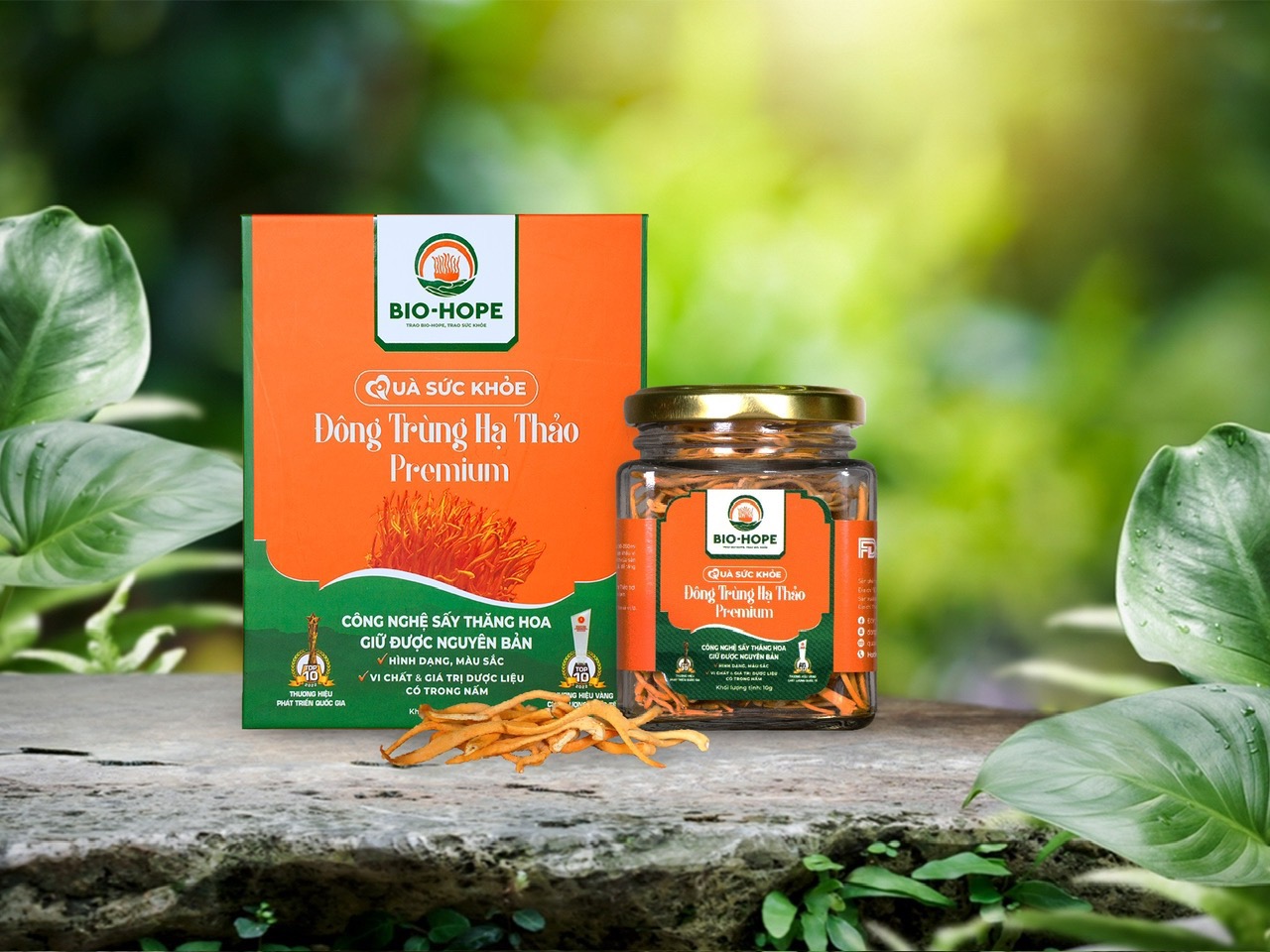 Thành phần và xuất xứ