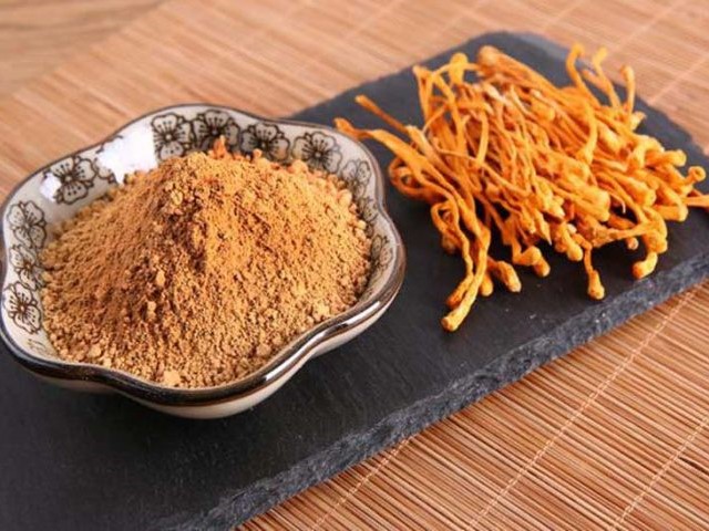 Đông trùng Hạ thảo Bio Hope dạng bột là gì?