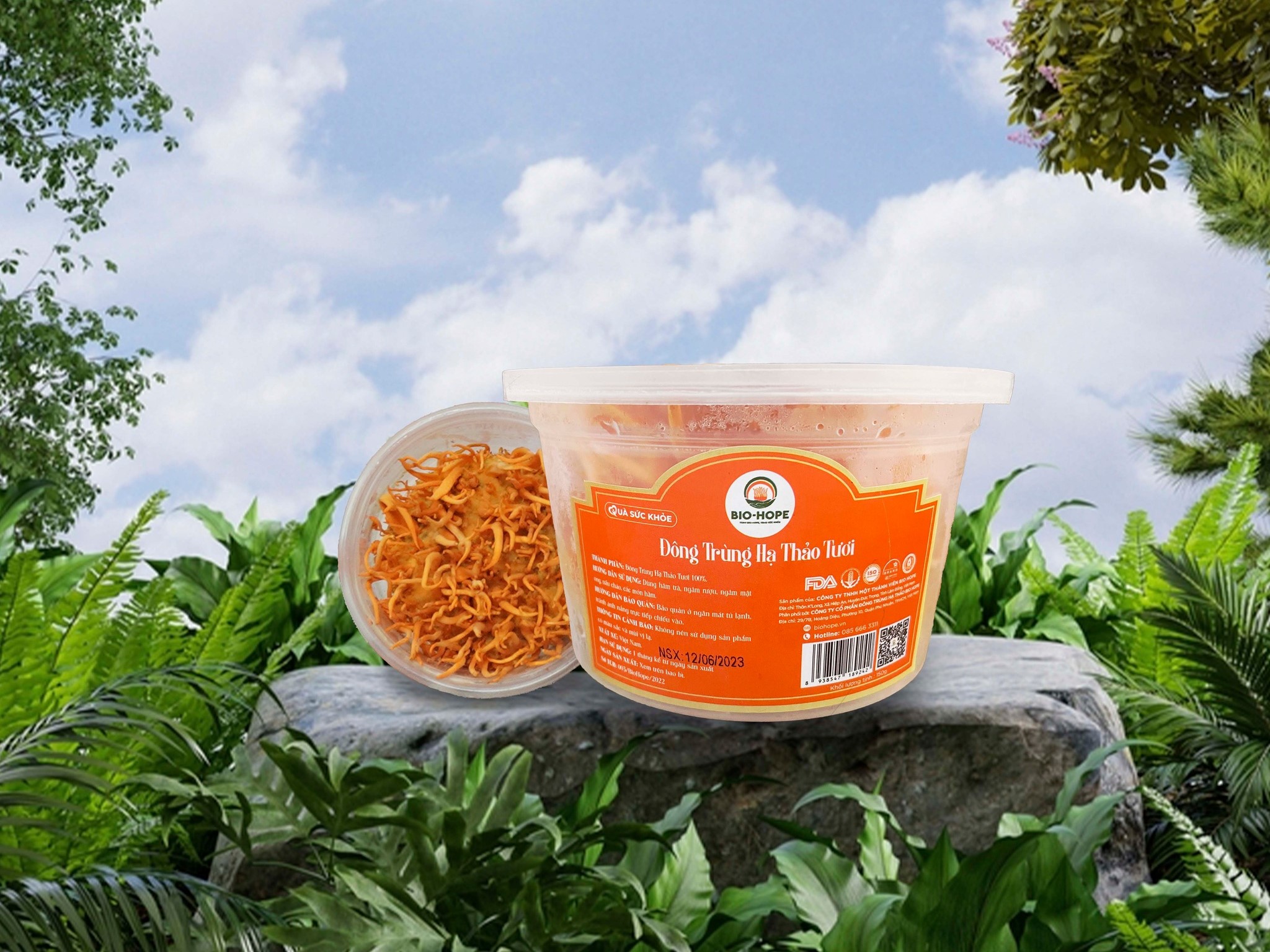 Về Đông trùng Hạ thảo tươi