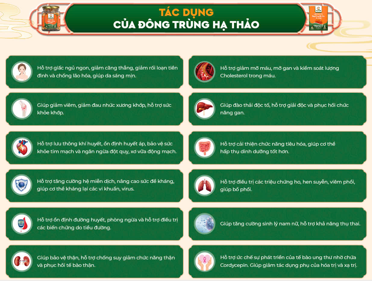 Công dụng của đông trùng hạ thảo tươi