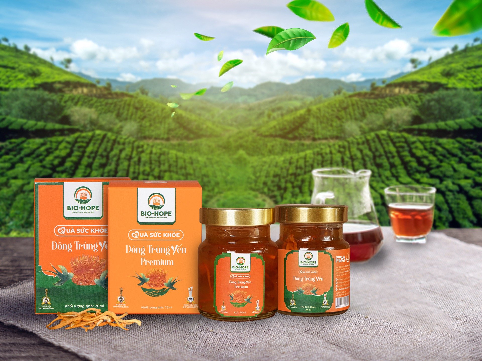 Đông trùng yến Premium là gì?