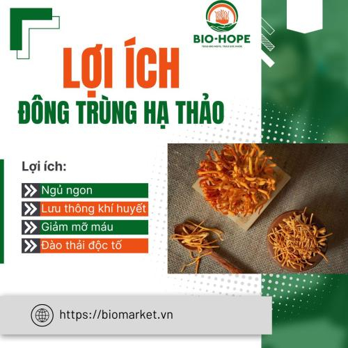 Lợi Ích Đáng Kinh Ngạc Của Đông Trùng Hạ Thảo