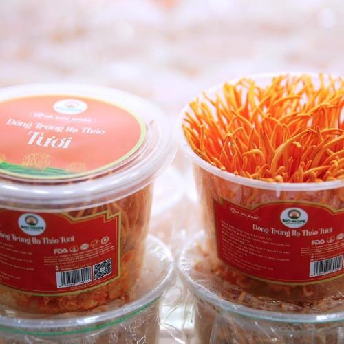 Những Công Dụng Thần Kỳ Của Đông Trùng Hạ Thảo