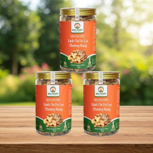 Những Ai Không Nên Sử Dụng Nấm Linh Chi?