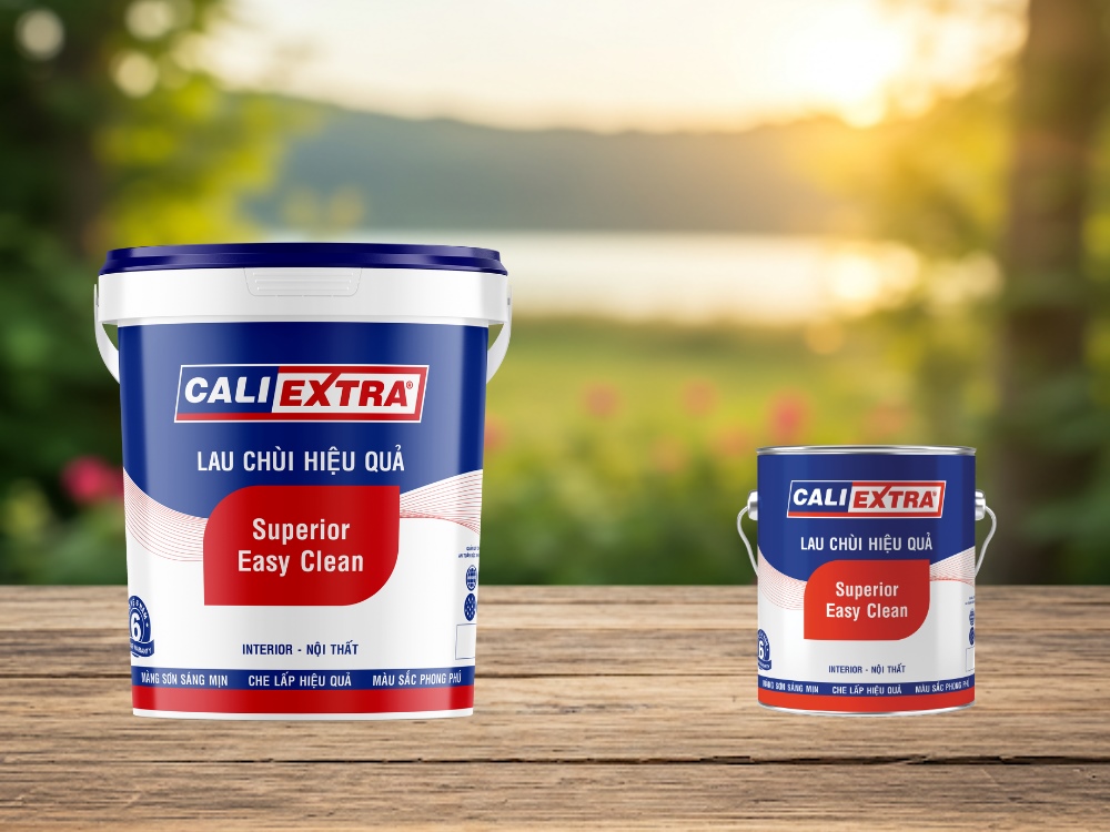 Giới thiệu sản phẩm