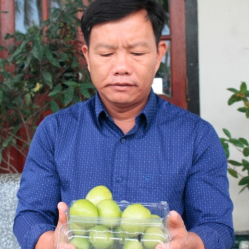 Ông Hồ Tấn Cường – Người Giữ Lửa Phong Trào Nông Dân Sản Xuất, Kinh Doanh Giỏi Ở Cam Thành Nam